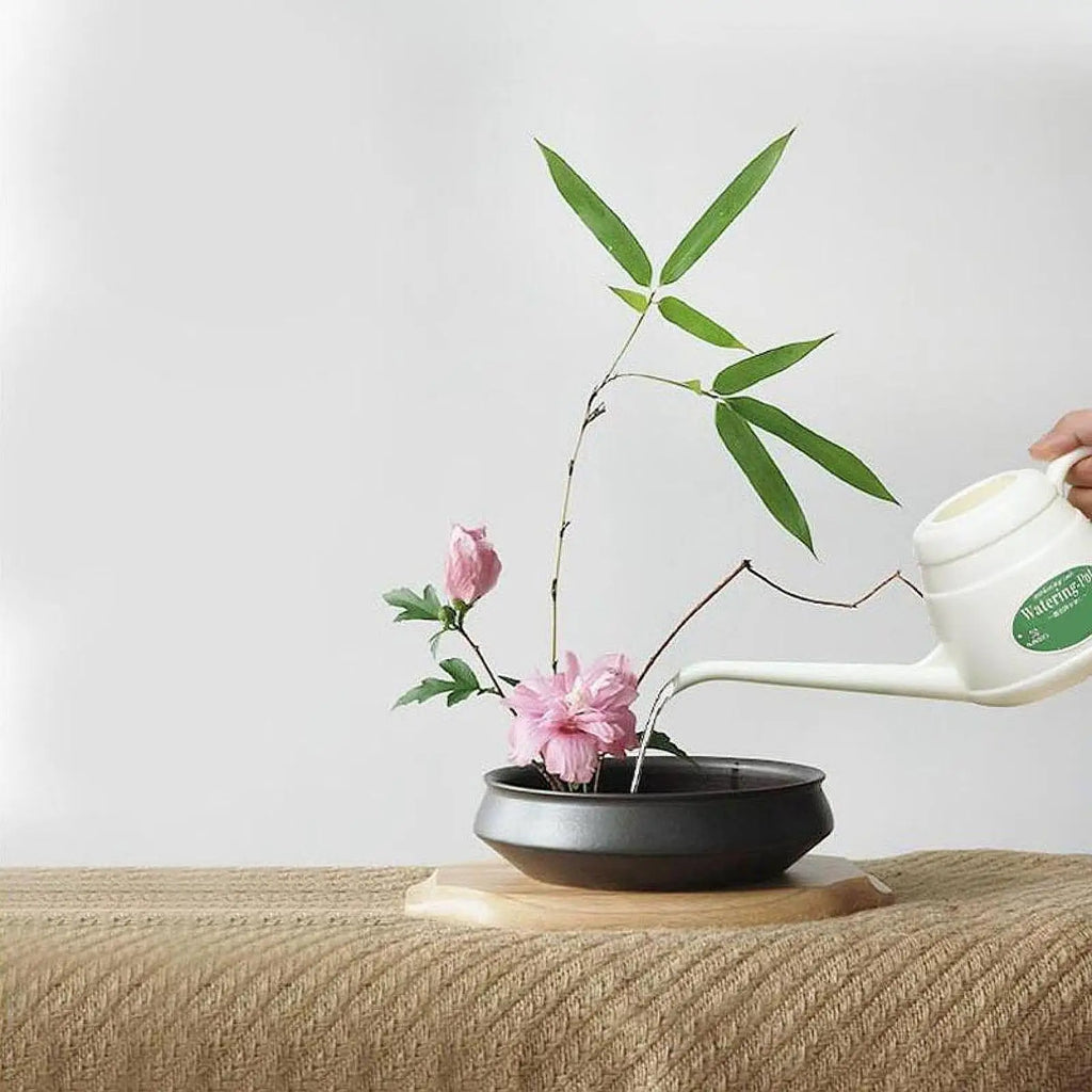 Modern Watering Can Anti Slip Portable Handle Small Watering Can