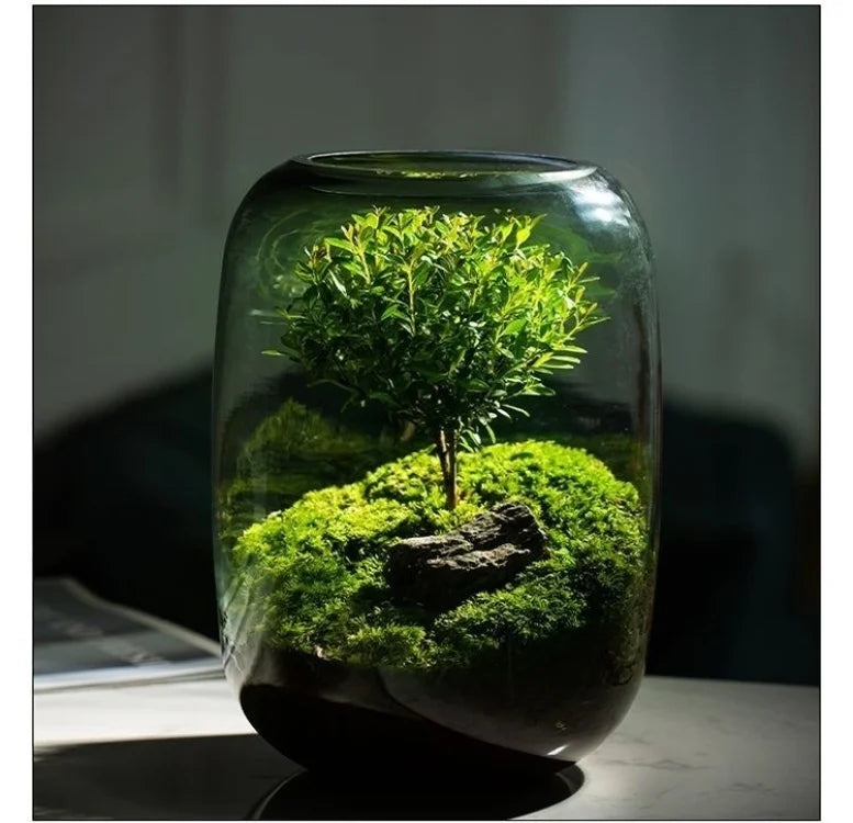 Desktop Bonsai Fresh Bonsai Micro Landscape Eco Bottle Vase Finished Good Nutritious Moss Bonsai