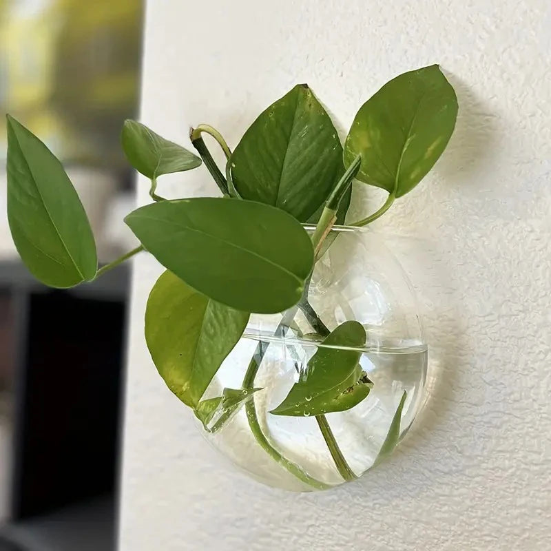 Wall Hanging Glass Plant Terrarium Container Propagation Station Wall-Mounted Flower Vase