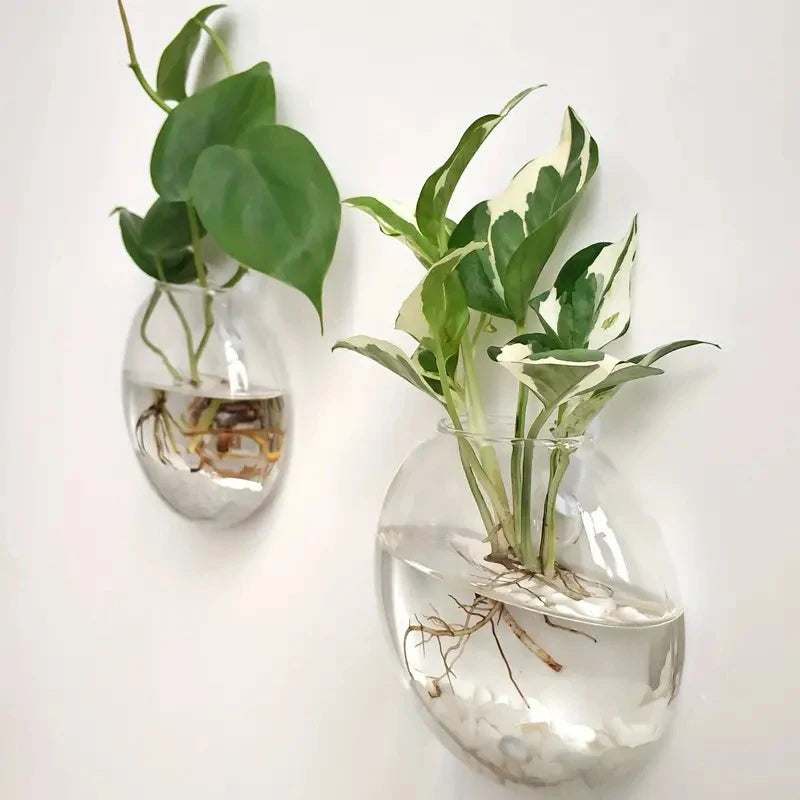 Wall Hanging Glass Plant Terrarium Container Propagation Station Wall-Mounted Flower Vase