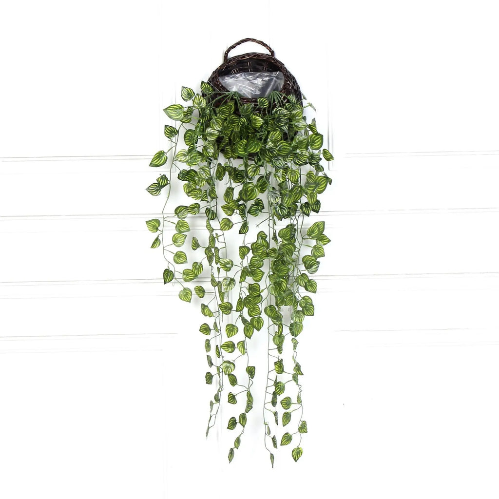 Radish Wall Hanging Plant Rattan Home Living Room Decoration Background Wall Flower Vine Plant
