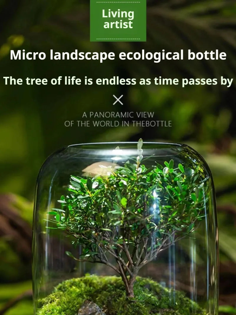 Desktop Bonsai Fresh Bonsai Micro Landscape Eco Bottle Vase Finished Good Nutritious Moss Bonsai