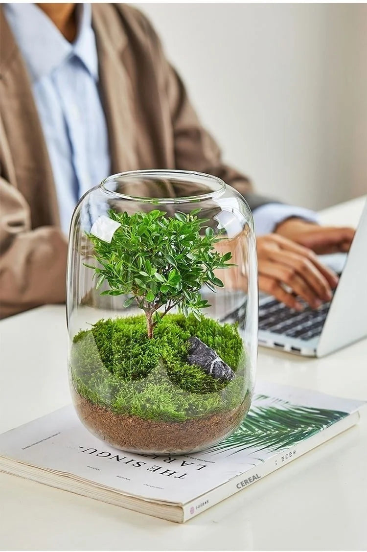 Desktop Bonsai Fresh Bonsai Micro Landscape Eco Bottle Vase Finished Good Nutritious Moss Bonsai