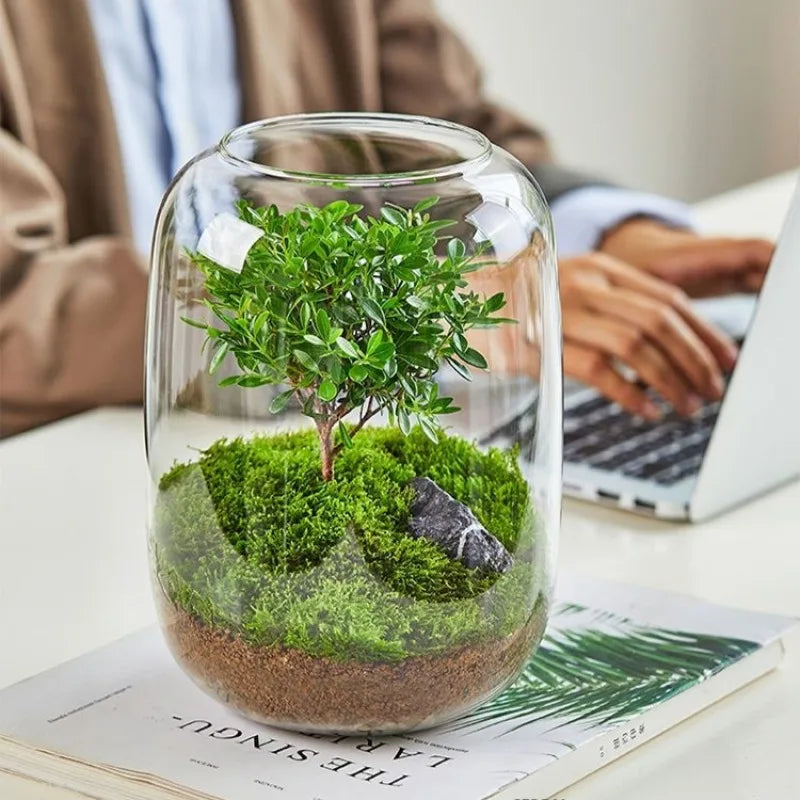 Desktop Bonsai Fresh Bonsai Micro Landscape Eco Bottle Vase Finished Good Nutritious Moss Bonsai