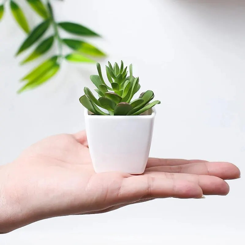 3PCS Artificial Plant Bonsai, Placed In Indoor Home, Restaurant,