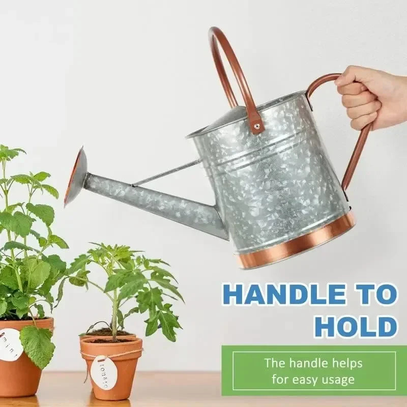 Outdoor plant 1-gallon watering pot - Metal outdoor plant watering pot