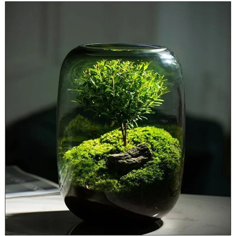 Desktop Bonsai Fresh Bonsai Micro Landscape Eco Bottle Vase Finished Good Nutritious Moss Bonsai