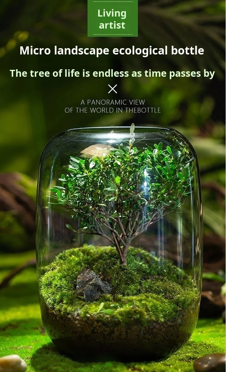 Desktop Bonsai Fresh Bonsai Micro Landscape Eco Bottle Vase Finished Good Nutritious Moss Bonsai