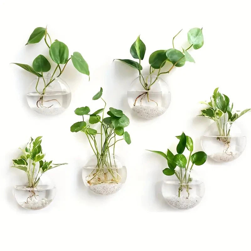 Wall Hanging Glass Plant Terrarium Container Propagation Station Wall-Mounted Flower Vase